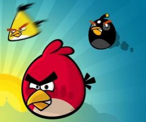 Puzzle Τρία από τα πτηνά από Angry Birds